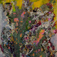 Table Corals